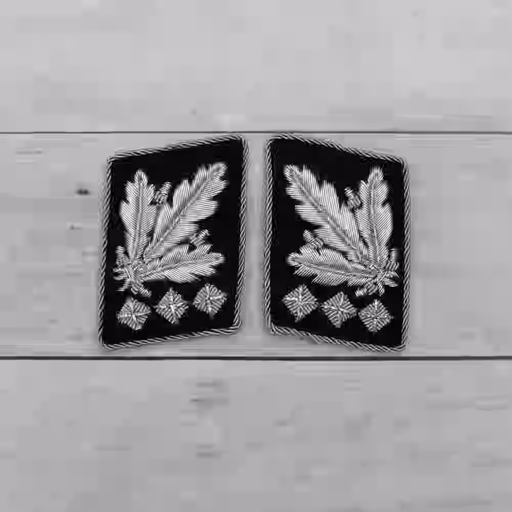 Waffen-SS Oberstgruppenführer Collar Tabs (1942–1945) - WWII-era SS Oberstgruppenführer collar tabs with silver thread on black wool background.